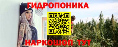 ГАЛЛЮЦИНОГЕННЫЕ ГРИБЫ Можга